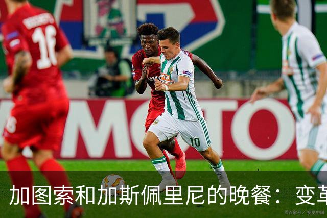 加图索和加斯佩里尼的晚餐：变革与怀旧的完美调味
